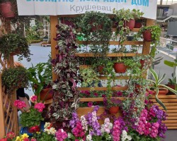 Upravi za izvršenje krivičnih sankcija dve nagrade na Sajmu hortikulture u Beogradu