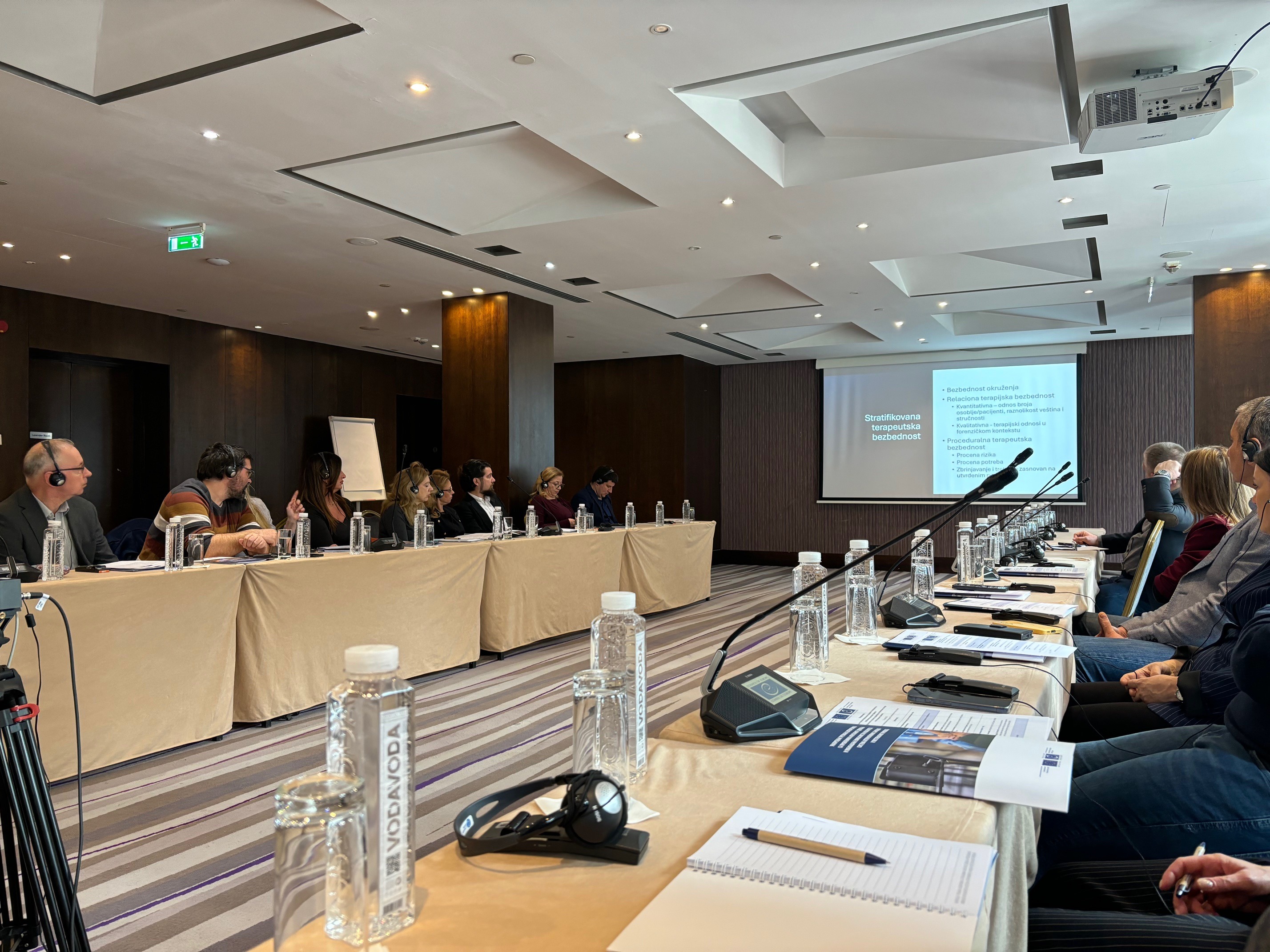 Carević: uz pomoć eksperata Saveta Evrope radimo na pobolj&scaron;anju tretmana lica sa mentalnim smetnjama